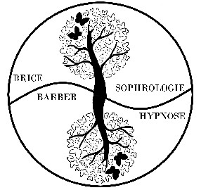logo Brice Barber Sophrologue Hypnose Ericksonienne